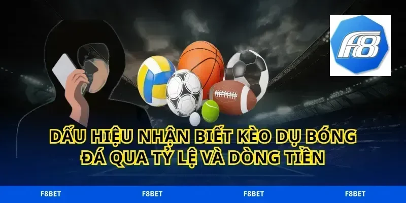 Dấu hiệu nhận biết kèo dụ bóng đá qua tỷ lệ và dòng tiền